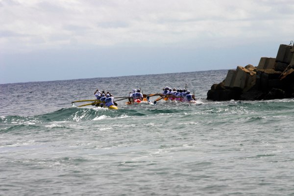 They maneuver with remarkable accuracy.